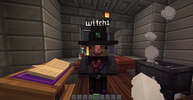 Image of a conversation with a witch mob